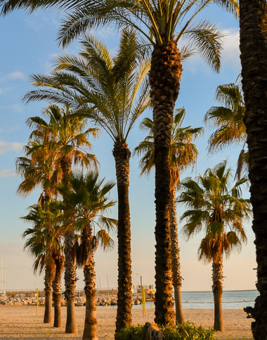 abogados legalitas Salou