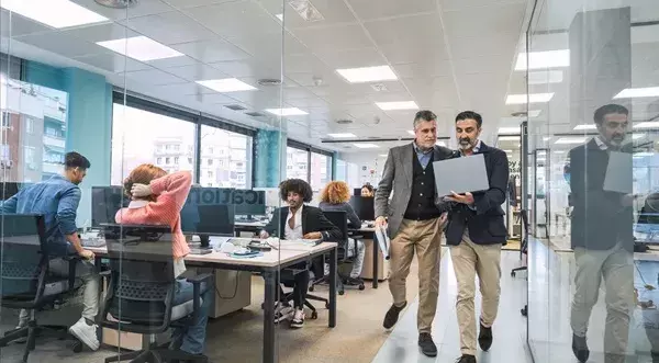¿Cuáles son las diferencias entre una actividad empresarial y una actividad profesional?
