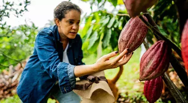 Qué es el Reglamento Europeo de productos sin deforestación (EUDR) y por qué deberías prestarle atención