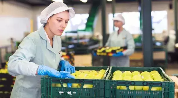 Normativa y claves para cumplir con la Ley de manipulación de alimentos