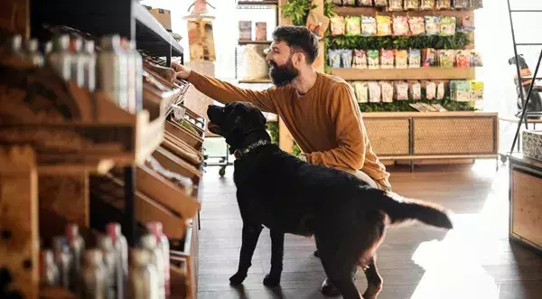 Qué dice la normativa sobre la entrada en tu establecimiento de animales