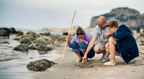 Llevarse moluscos, arena o conchas de la playa puede conllevar una multa de hasta 60.000 euros