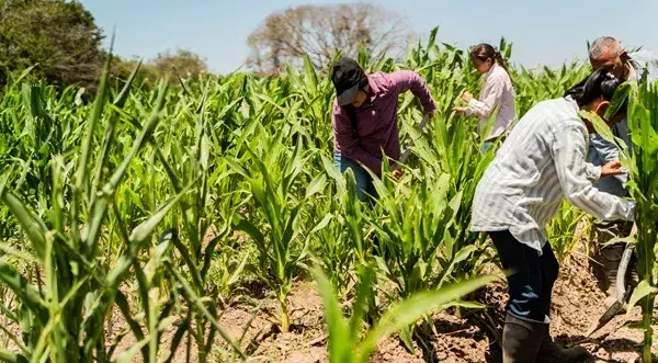 Trabajar "en negro" o empleo sumergido: ¿cuáles son las consecuencias legales?