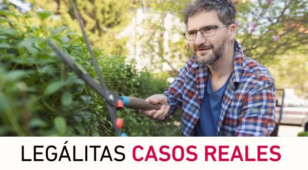¿Qué hago si las plantas de mi vecino invaden mi finca? Casos reales