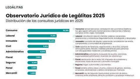 Infograf%C3%ADa%20Materias%20m%C3%A1s%20consultadas_Observatorio%20Jur%C3%ADdico%202025