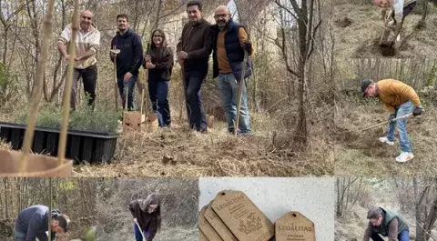 collage_deforestacion