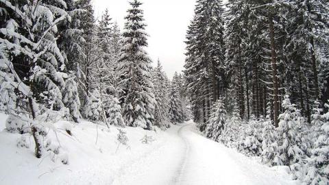 NIEVE esqui legalitas_2