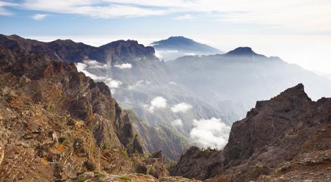 ayudas la palma_2